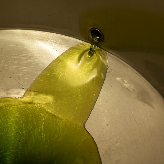 Buy Premium Olive Oil Online from Timeless Puglia Roots
