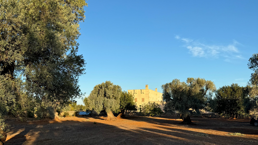 Private Event Venue in Puglia with Stunning Countryside Views