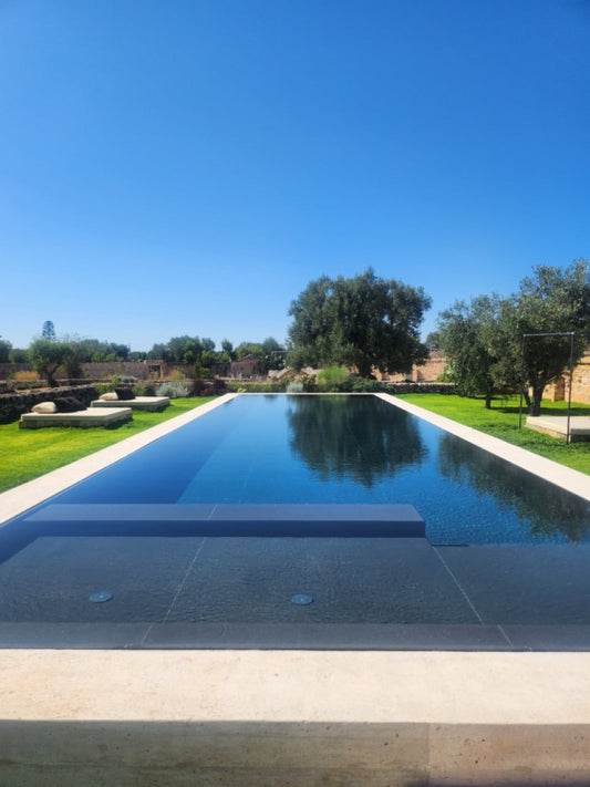 Why Olive Oil Tourism Is the Best Way to Experience Premium &amp; Authentic Olive Oil