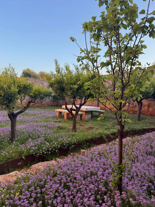 Celebrating Sustainability: Eco-Friendly Weddings in Puglia