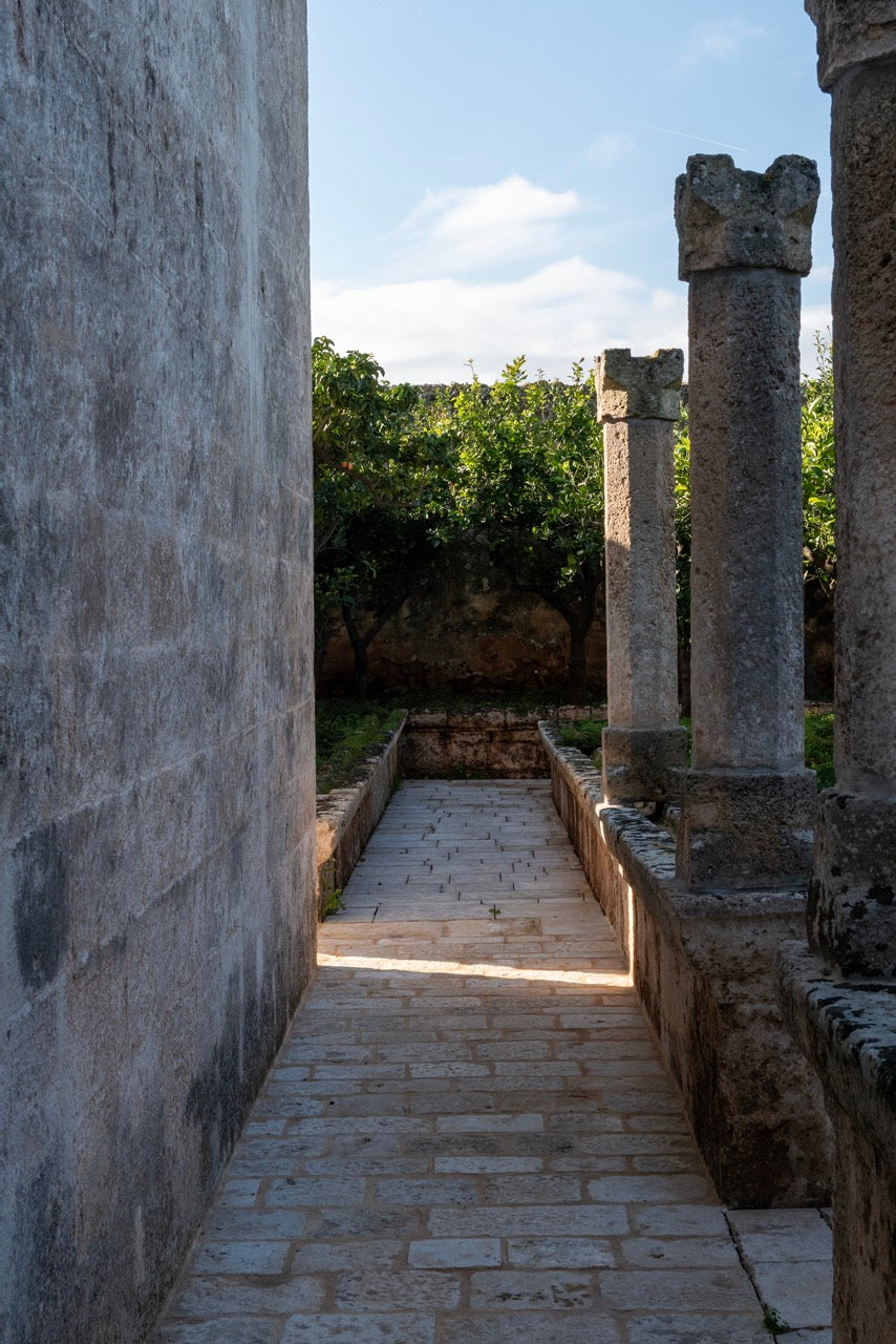 Stone pathway leading through the agrumeto