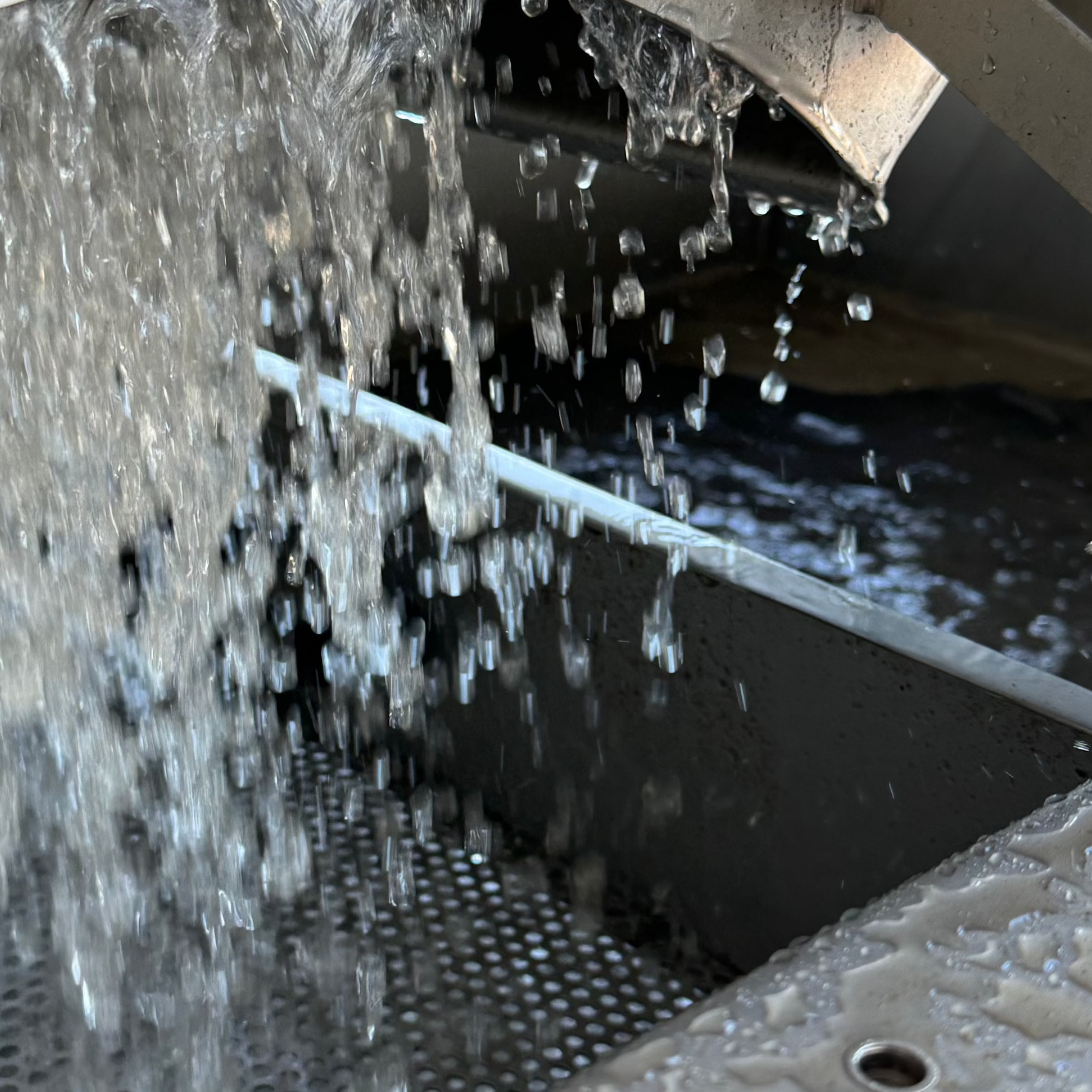 Washing of olives in order to reduce bacteria