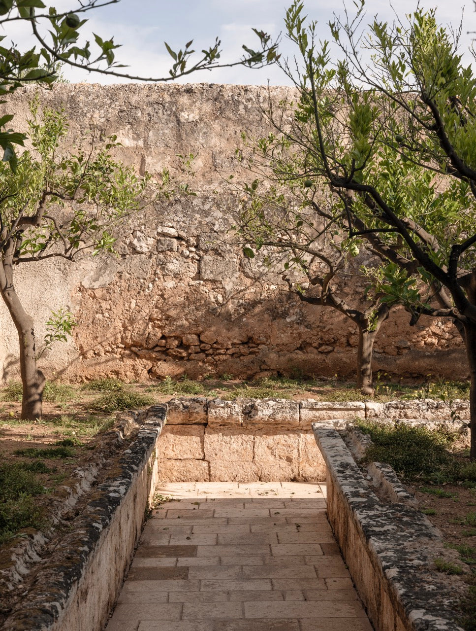 Stone pathway through the agrumeto citrus garden at Masseria Carrassa