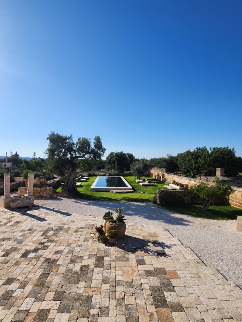 Paved area with a pool and greenery under a clear blue sky