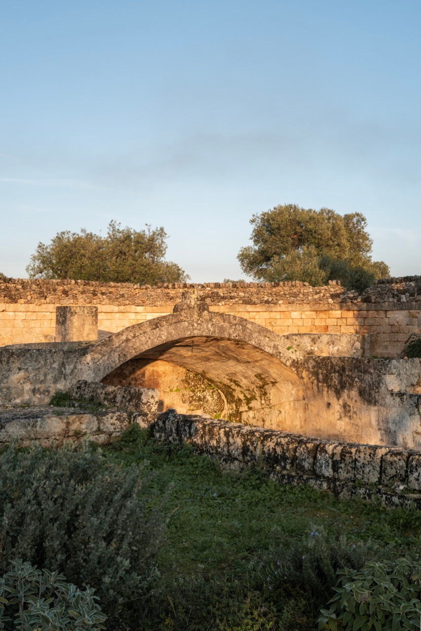 Stone grotto with arched entrance amid Puglia countryside vegetation